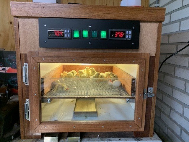 Broed service, Dieren en Toebehoren, Pluimvee | Toebehoren, Nieuw, Broedmachine, Ophalen of Verzenden