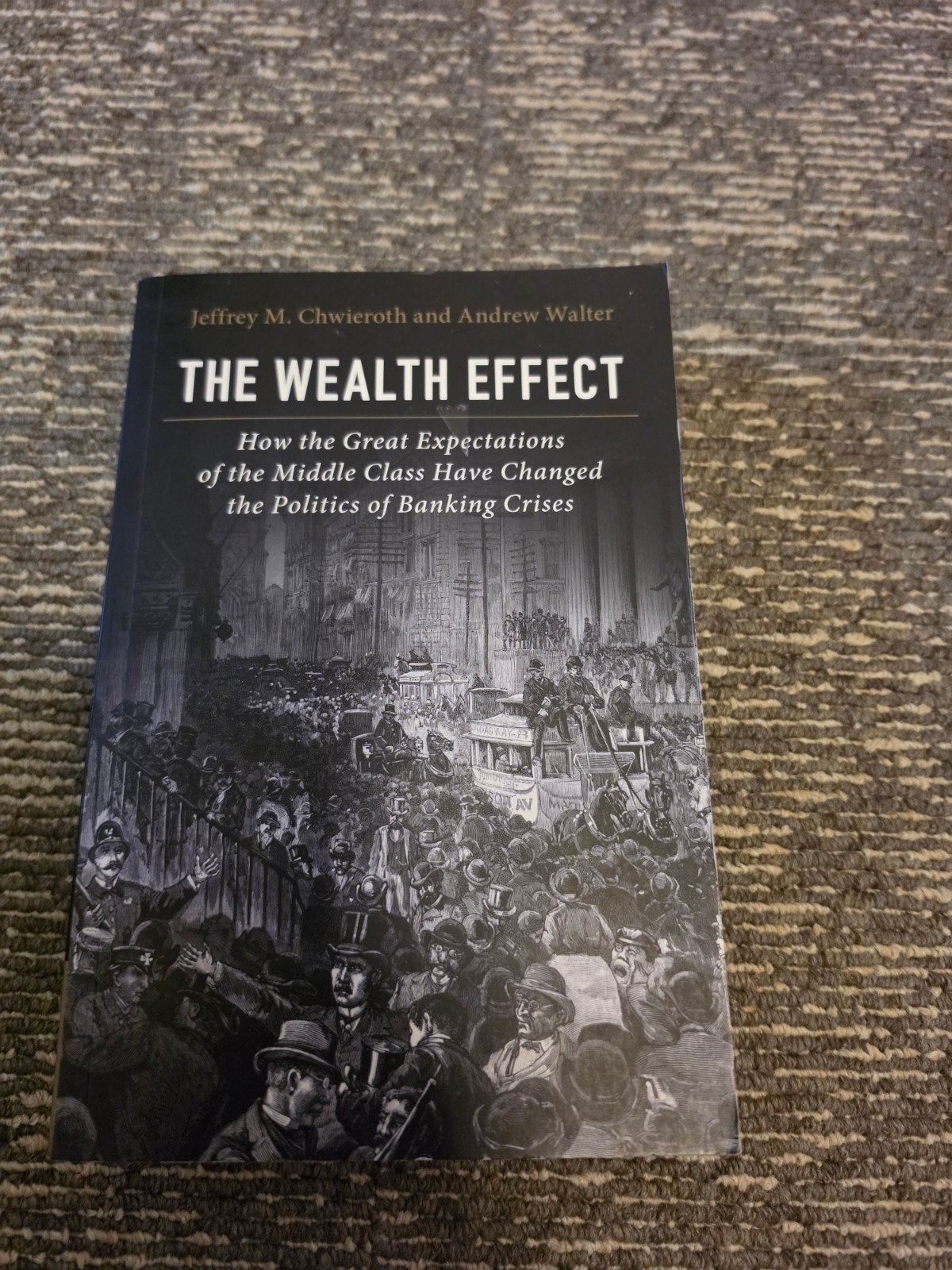The Wealth Effect: Politiek van Bankencrises, Ophalen of Verzenden, Zo goed als nieuw, Geld en Beleggen, Jeffrey M. Chwieroth en Andrew Walter
