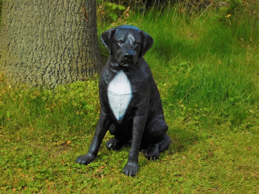Prachtige ''Rottweiler'' zwart/wit - van Polystone, Dierenbeeld, Kunststof, ., Ophalen of Verzenden