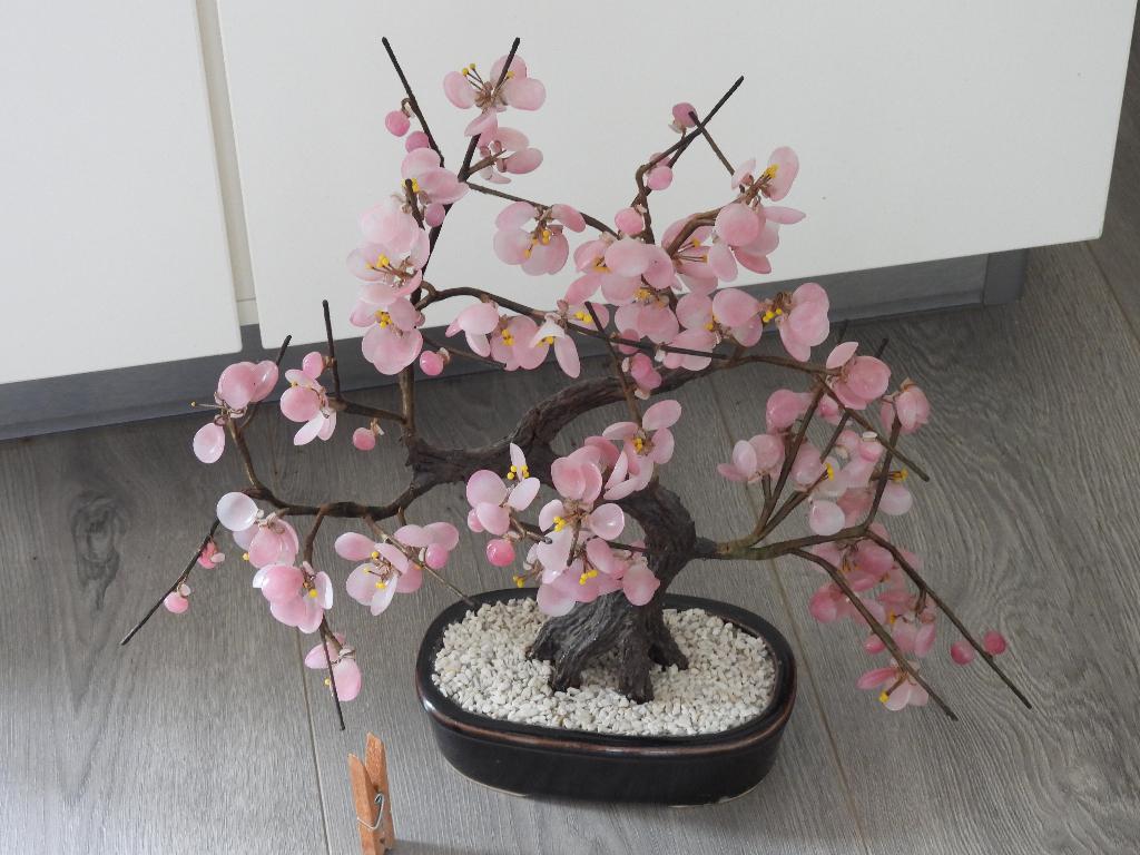 Bonsai boompje, Ophalen