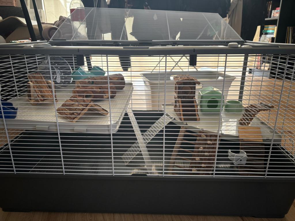 Knaagdierenhok incl. Accessoires, Dieren en Toebehoren, Hamster, Zo goed als nieuw, Hok, 75 tot 110 cm