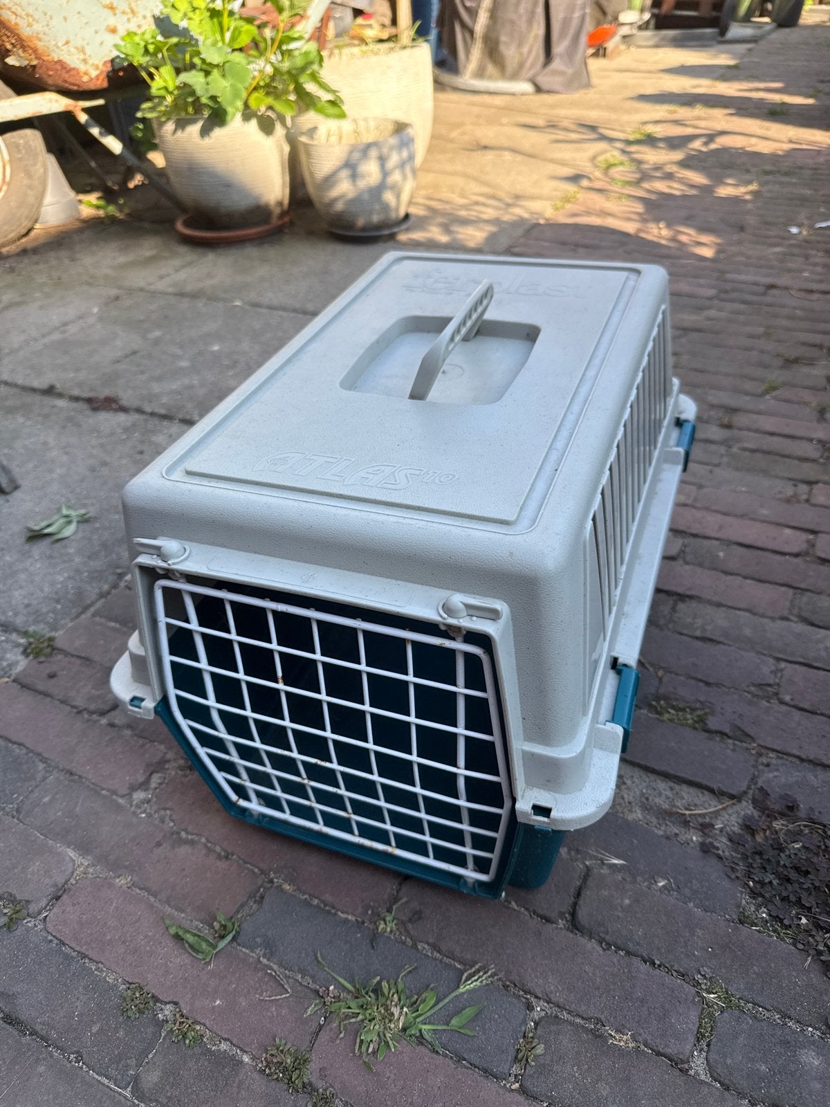 Transport box konijn / kat, Dieren en Toebehoren, Ophalen, Gebruikt