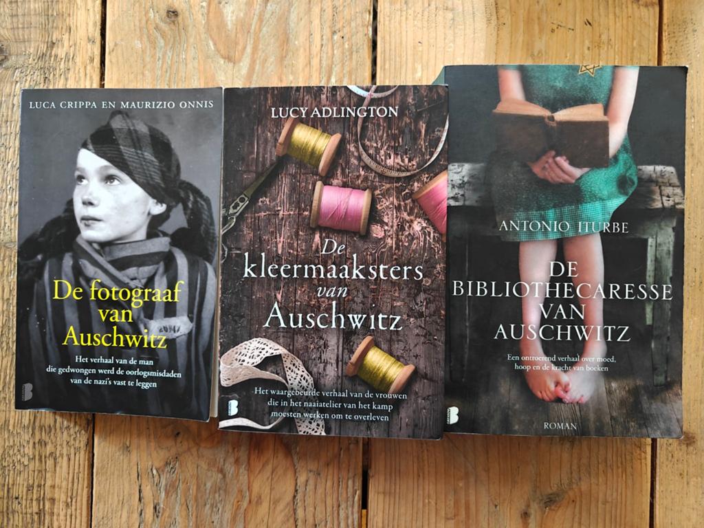 3 Oorlogs Romans over Auswitz., Boeken, Romans, Ophalen of Verzenden, Zo goed als nieuw