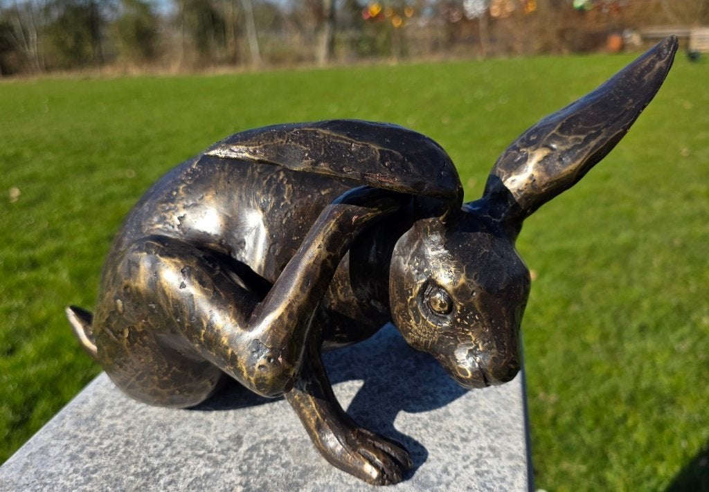 HAAS KRABT AAN OOR / bronzen beeld, Dierenbeeld, Nieuw, Info@huisentuindecoratiemarie.nl, Huis en tuin decoratie marie