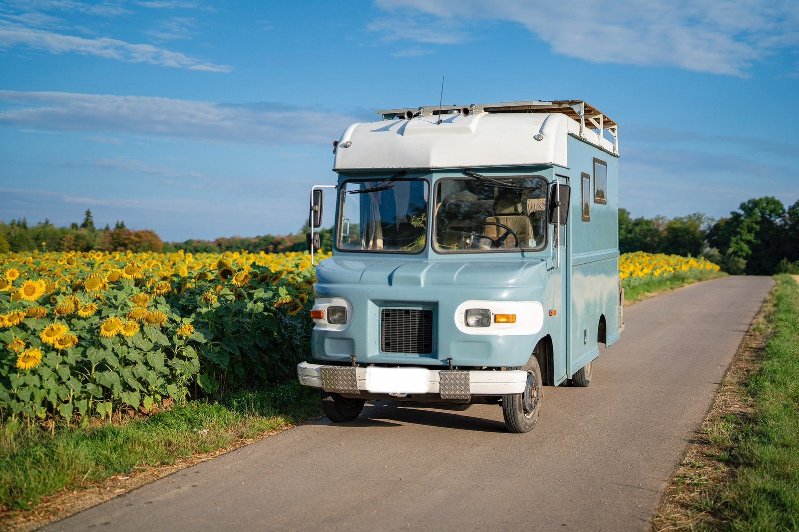 Mercedes Benz 508 UPS 1979 3,5t, Buscamper of Camperbus, Mercedes-Benz