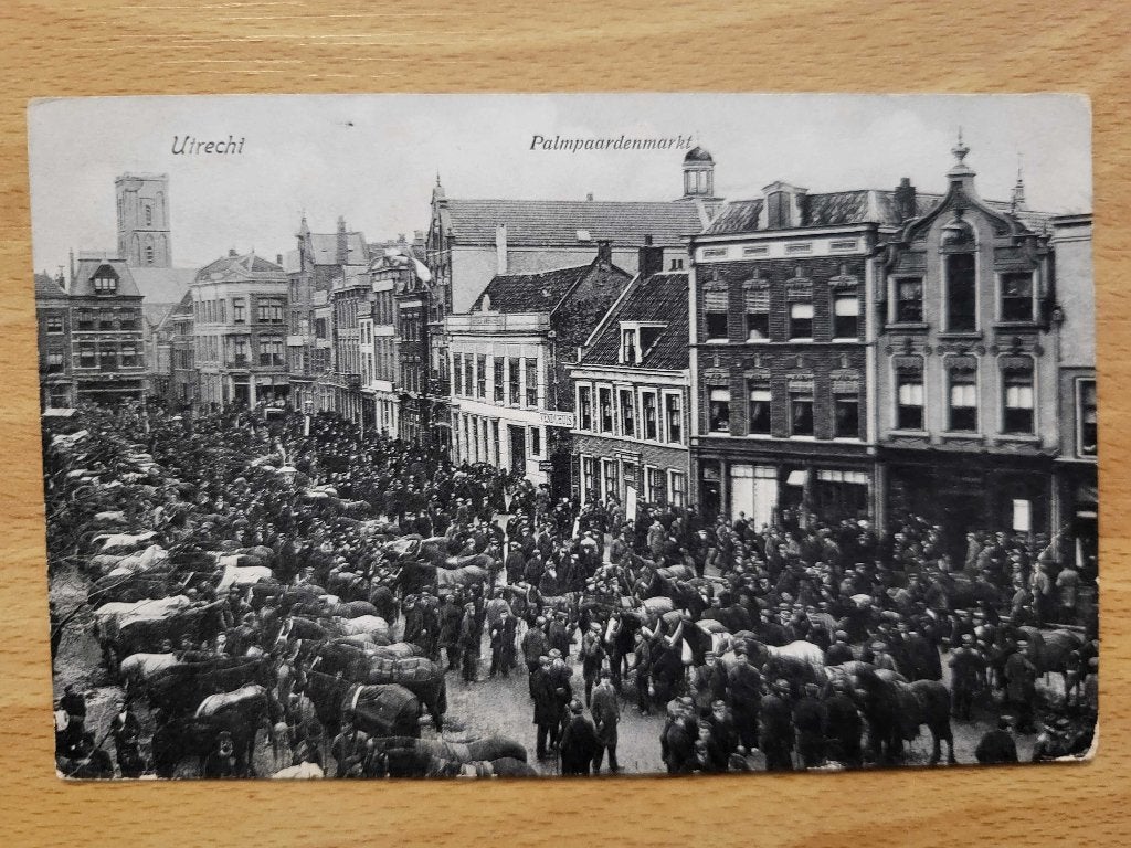 ansicht Paardenmarkt Utrecht, Ophalen, Voor 1920, Utrecht