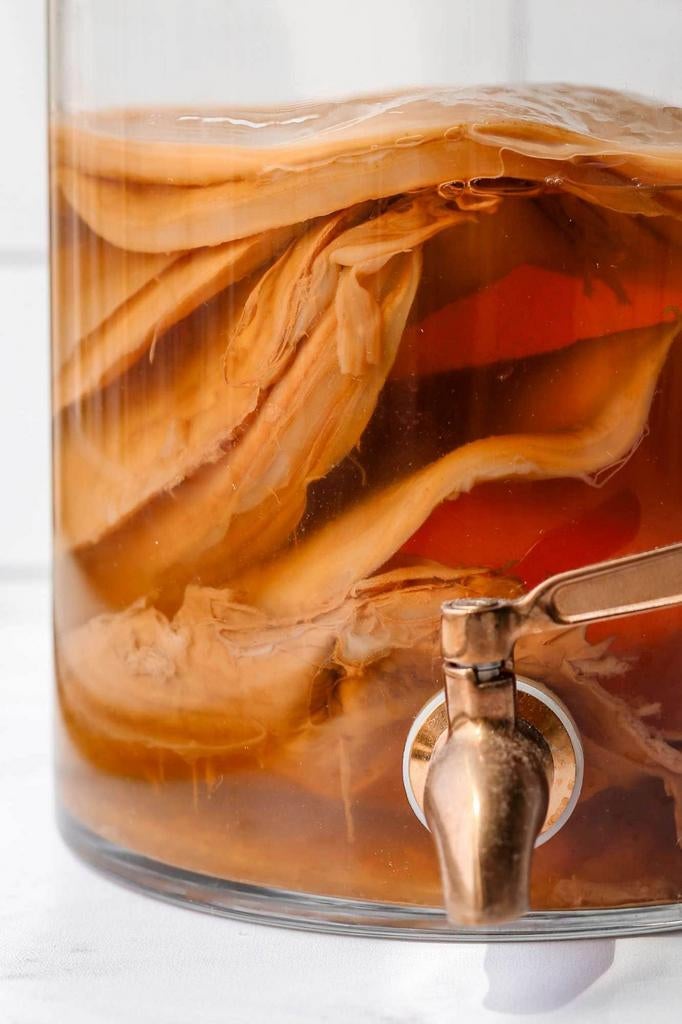 Kombucha scoby, Ophalen of Verzenden