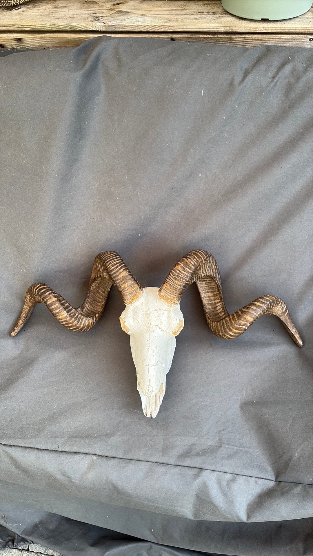 Polystone dierenschedel, Ophalen of Verzenden, Gewei of Kop