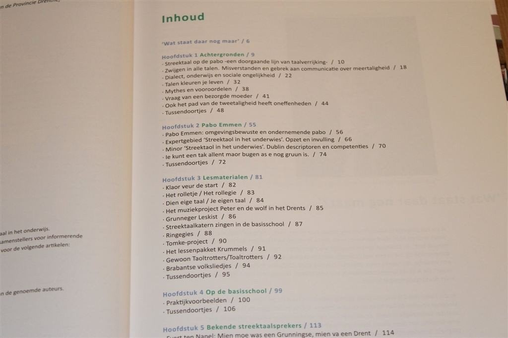 Streektaol in het Underwies — Achtergronden en Uitwerking, Boeken, Ophalen of Verzenden, Zo goed als nieuw