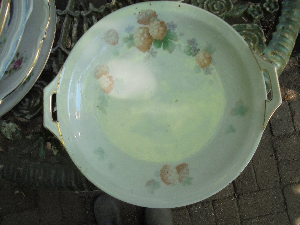 Gebakschaal Thomas Bavaria met dennenappeltjes, Ophalen of Verzenden