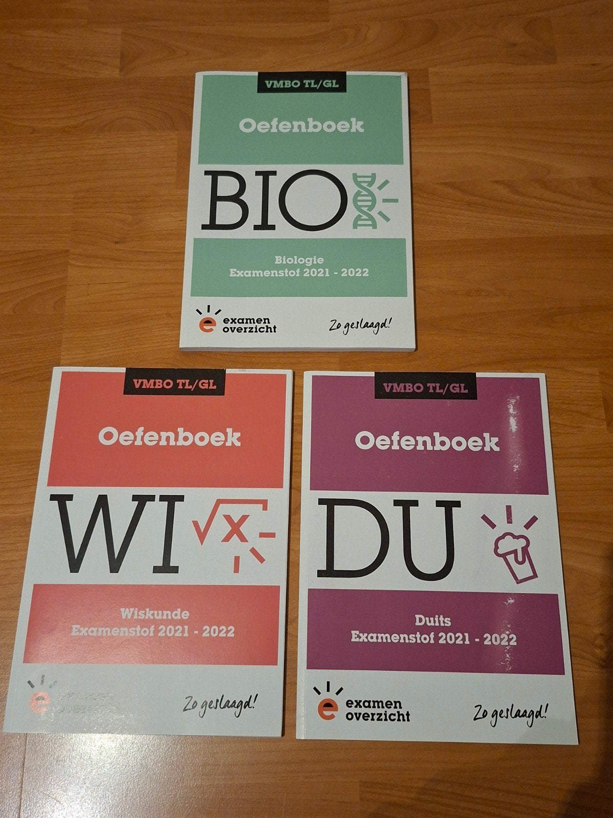 ExamenOverzicht - Oefenboek Examenstof VMBO TL/GL, Boeken, Ophalen of Verzenden, Nederlands, Overige niveaus, ExamenOverzicht