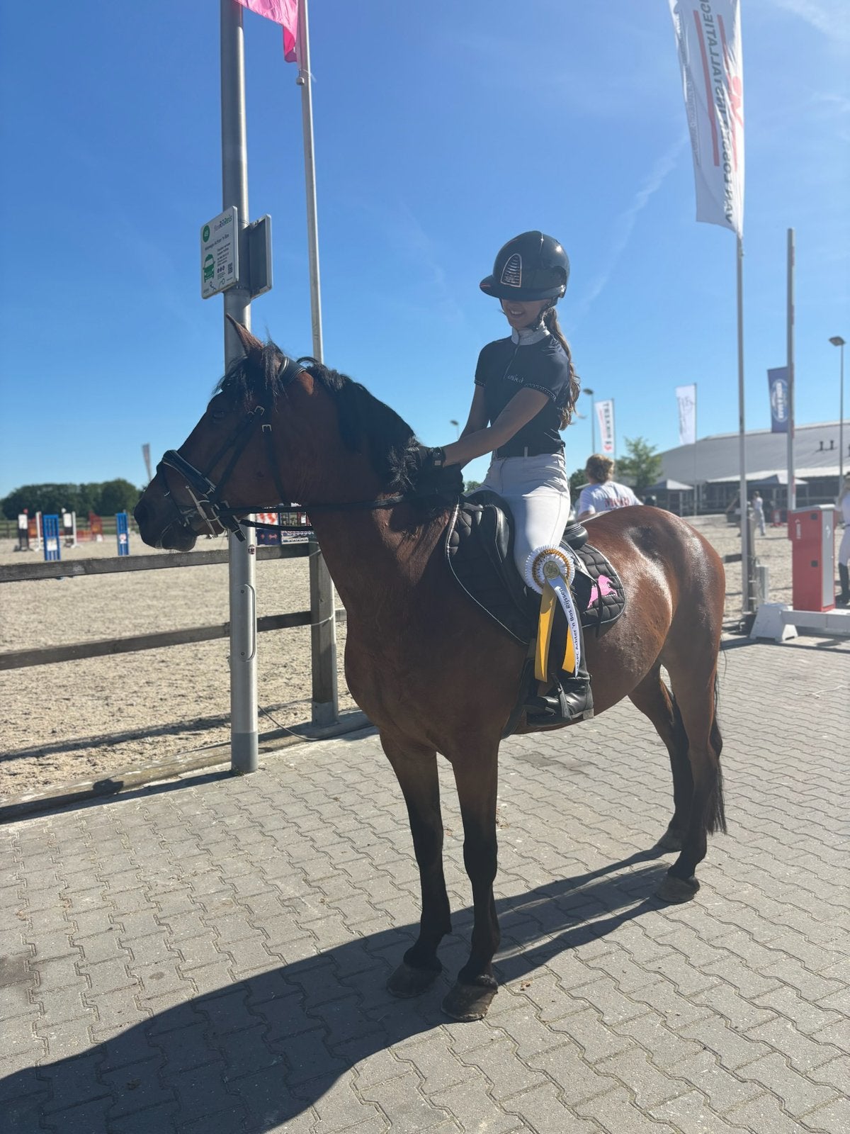 ≥ Lieve bomproof allround ruin — Pony's — Marktplaats