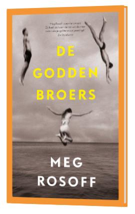 De Godden broers Meg Rosoff 9789024592357, Ophalen of Verzenden, Gelezen