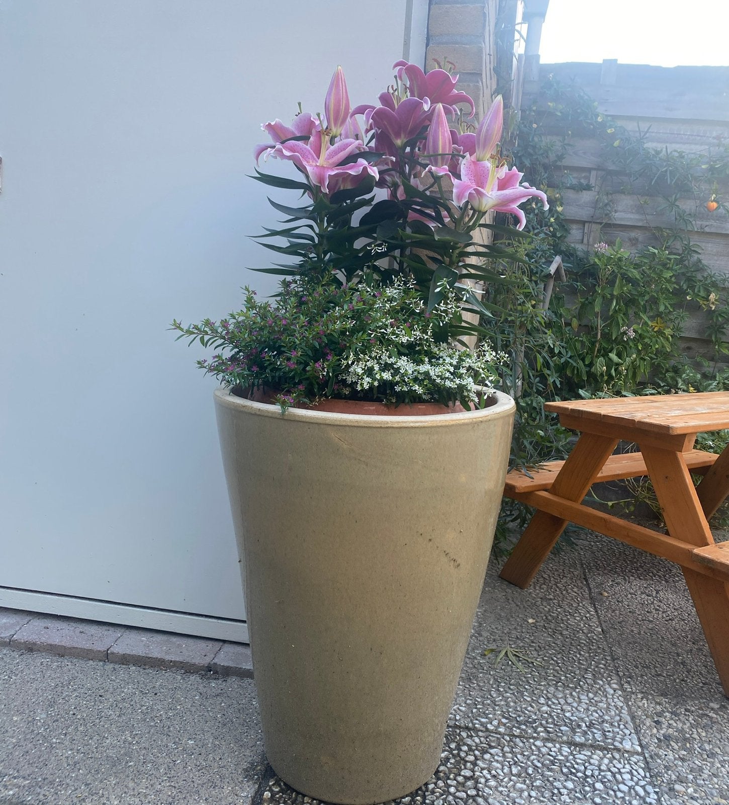 Grote planten pot, Ophalen of Verzenden, Zo goed als nieuw, Rond, Kunststof