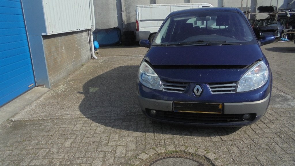 CARROSSERIE ONDERDLEN VOOR RENAULT GRAND SCENIC, Ophalen of Verzenden, Voor, Renault, Deur