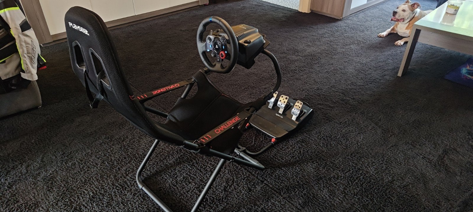Playseat Challenge met Logitech G29 Driving Force, Ophalen, Zo goed als nieuw, PlayStation