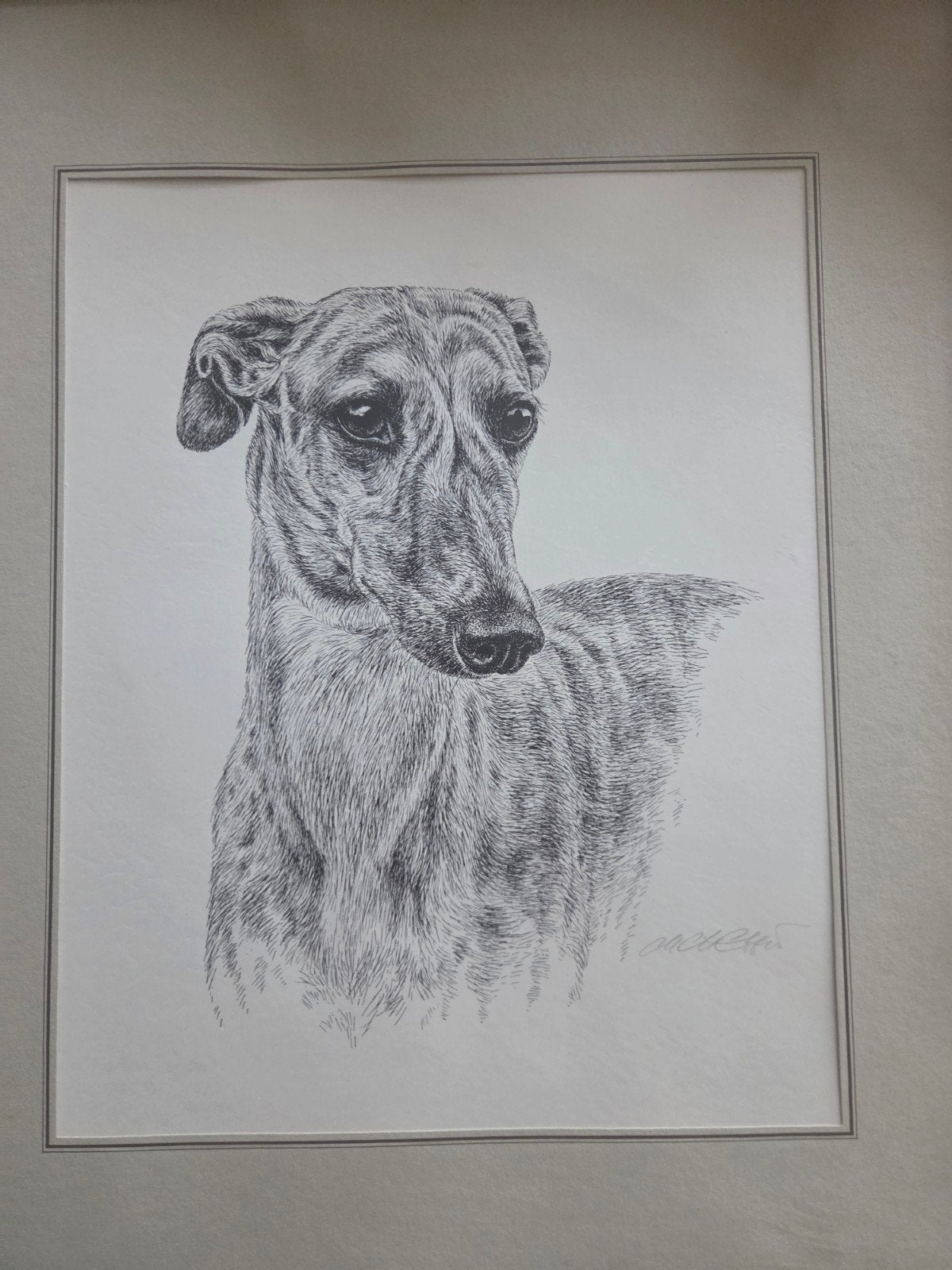 Ingelijste pentekening van een windhond, Verzamelen, Ophalen of Verzenden, Gebruikt, Hond of Kat, Overige typen