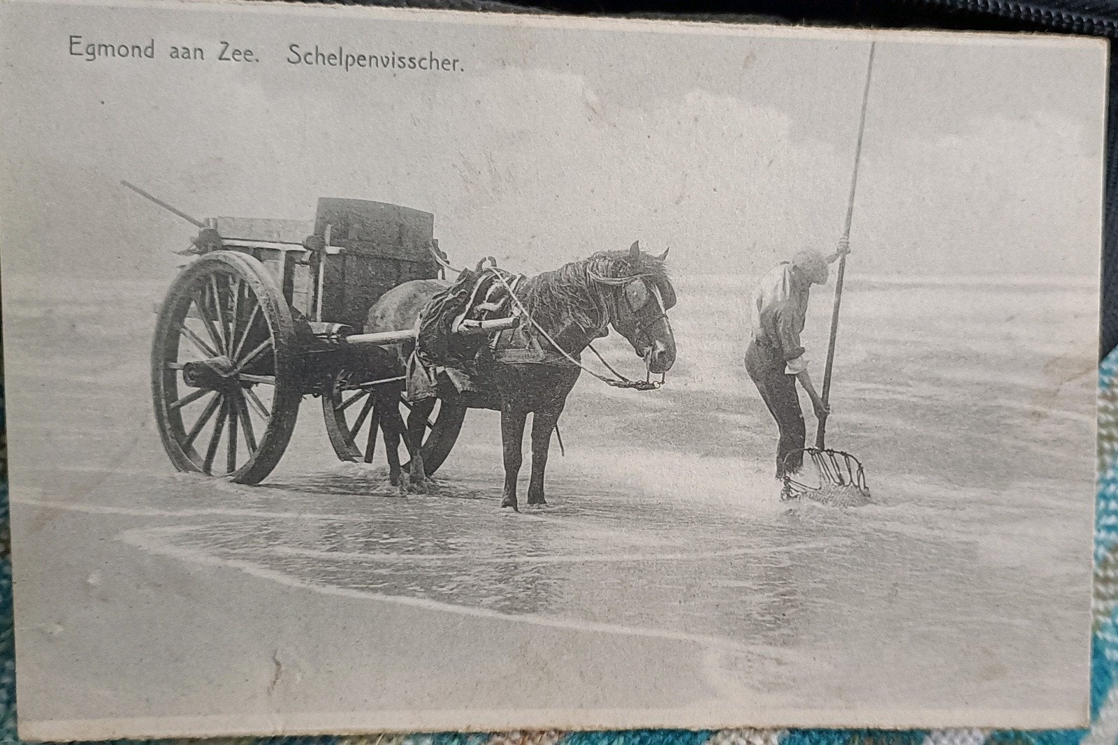 Egmond aan Zee. Schelpenvisscher. Ca 1933, Verzenden, 1920 tot 1940, Noord-Holland