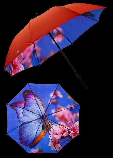 Paraplu Vlinder Design Kleurrijk Stormbestendig, Ophalen, Zo goed als nieuw, Overige kleuren