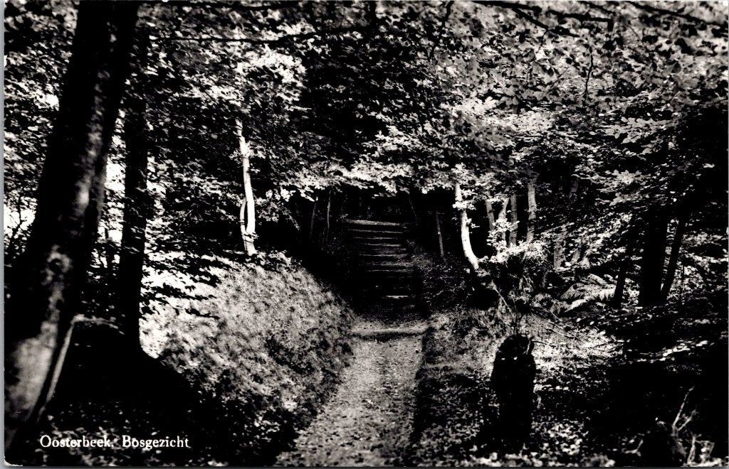 Oosterbeek - 12 oude ansichtkaarten Mariëndaal en bosgezicht, Verzenden, 1960 tot 1980, Gelopen, Gelderland