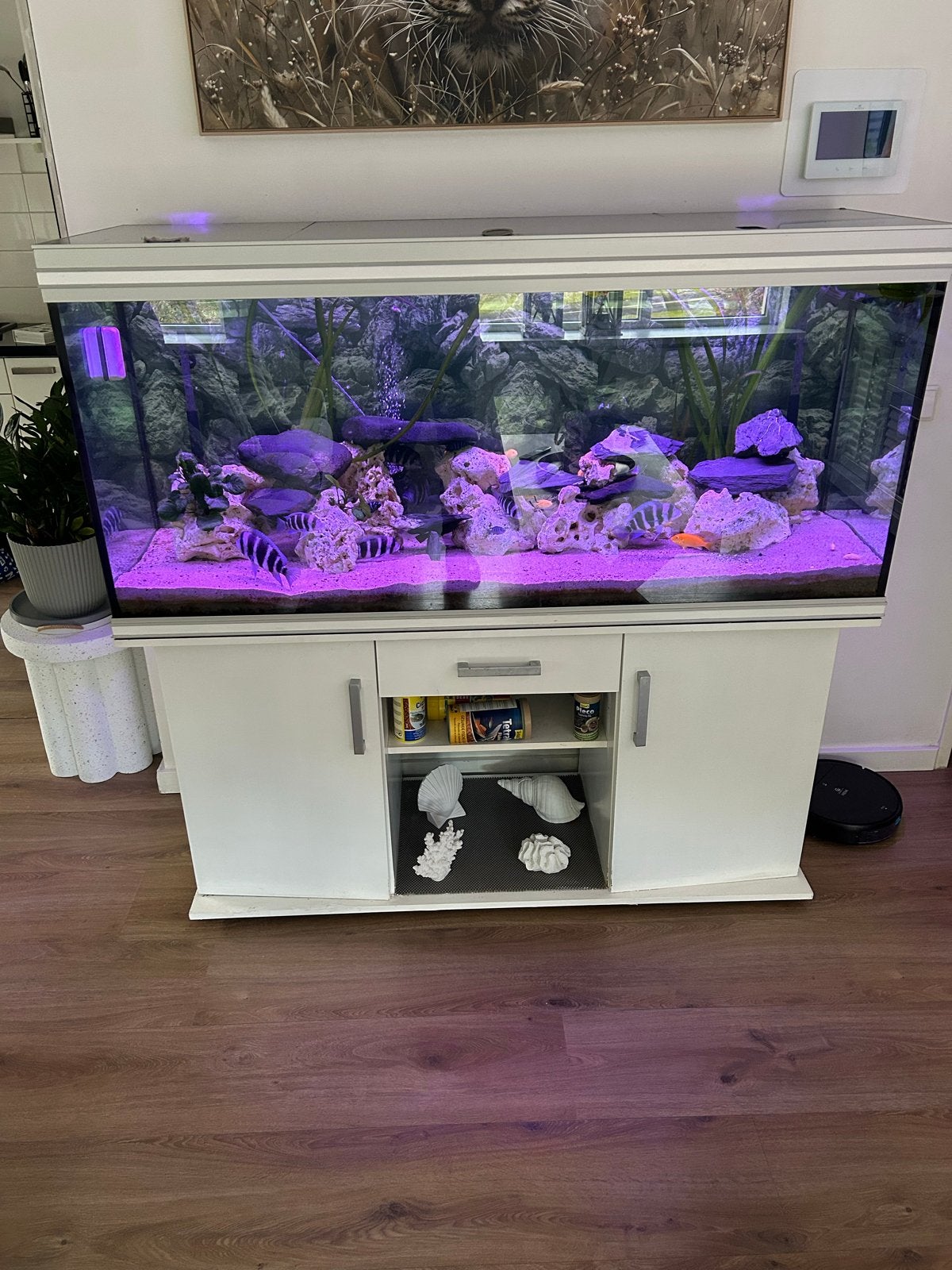 Te koop aquarium met onderstel meubel, Dieren en Toebehoren, Gebruikt, Ophalen of Verzenden, Gevuld zoetwateraquarium, Aquatlantis