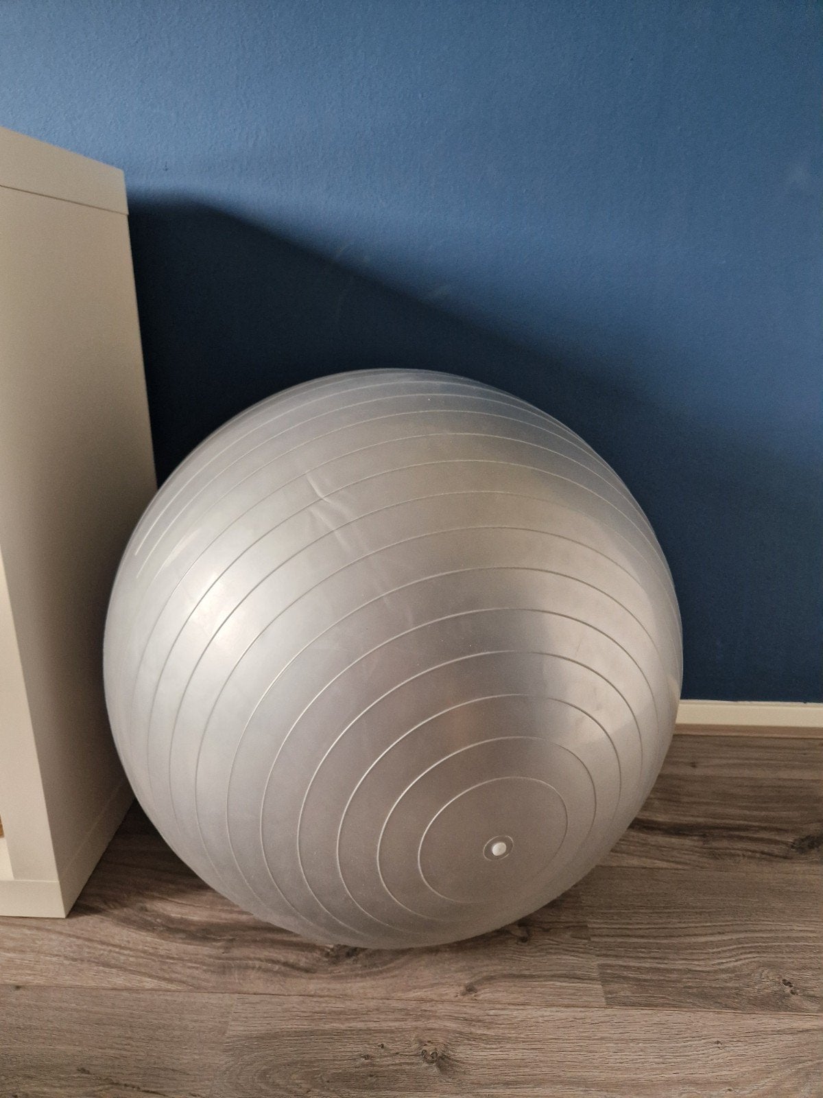 Reebok Fitnessbal Gymbal 65 cm met pomp en boekje, Ophalen, Zo goed als nieuw, Fitnessbal