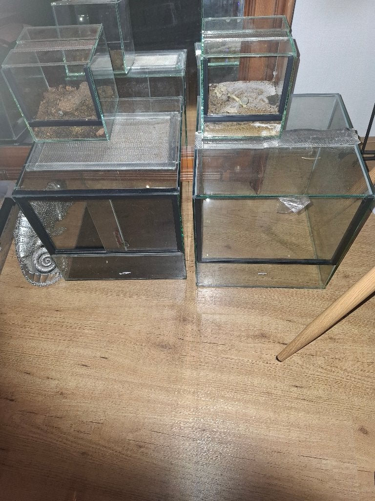 4 Terrariums, 2 aquariums en een beeld te koop, Overige soorten