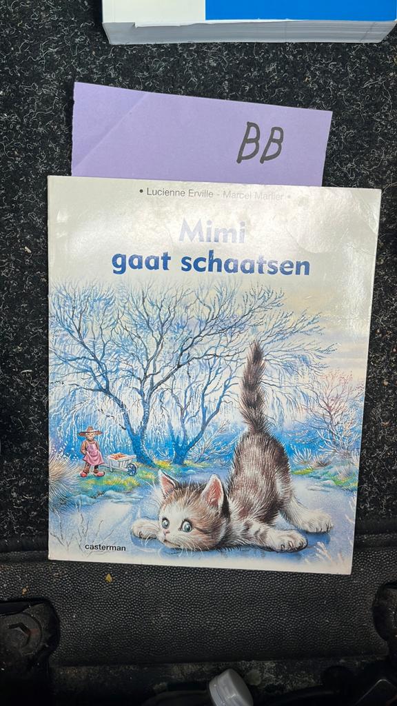 Mimi gaat schaatsen - Lucienne Erville & Marcel Marlier, Ophalen of Verzenden, Zo goed als nieuw, Fictie algemeen
