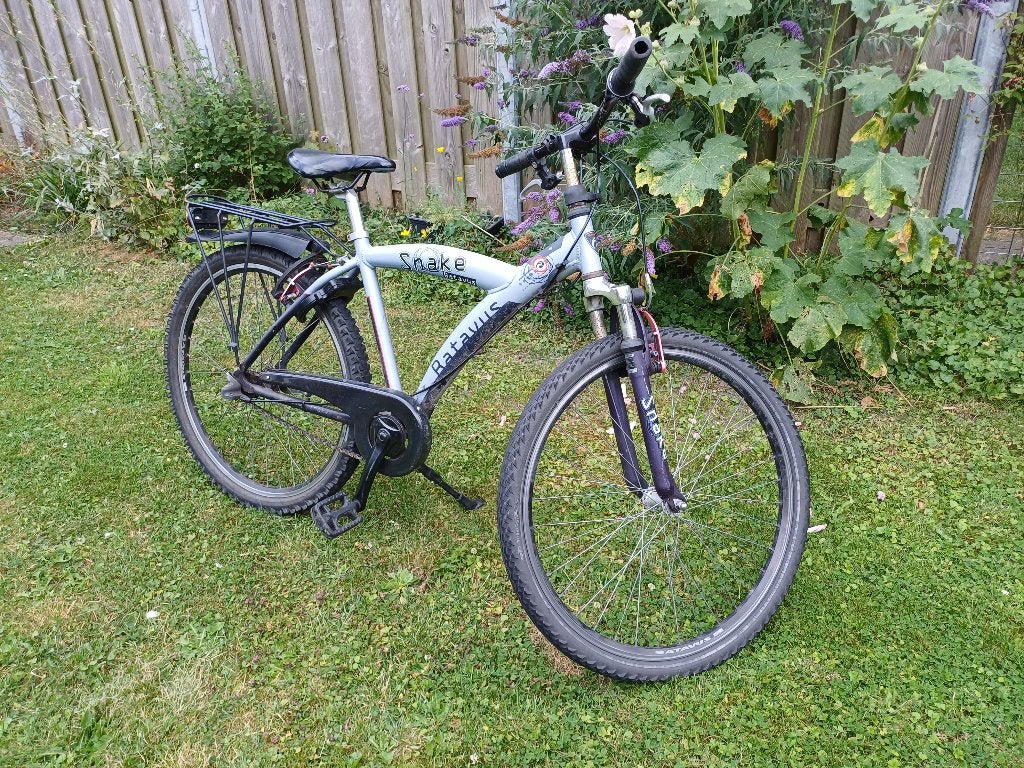 Jongesfiets batavus snake, Terugtraprem, Gebruikt, Versnellingen, Batavus
