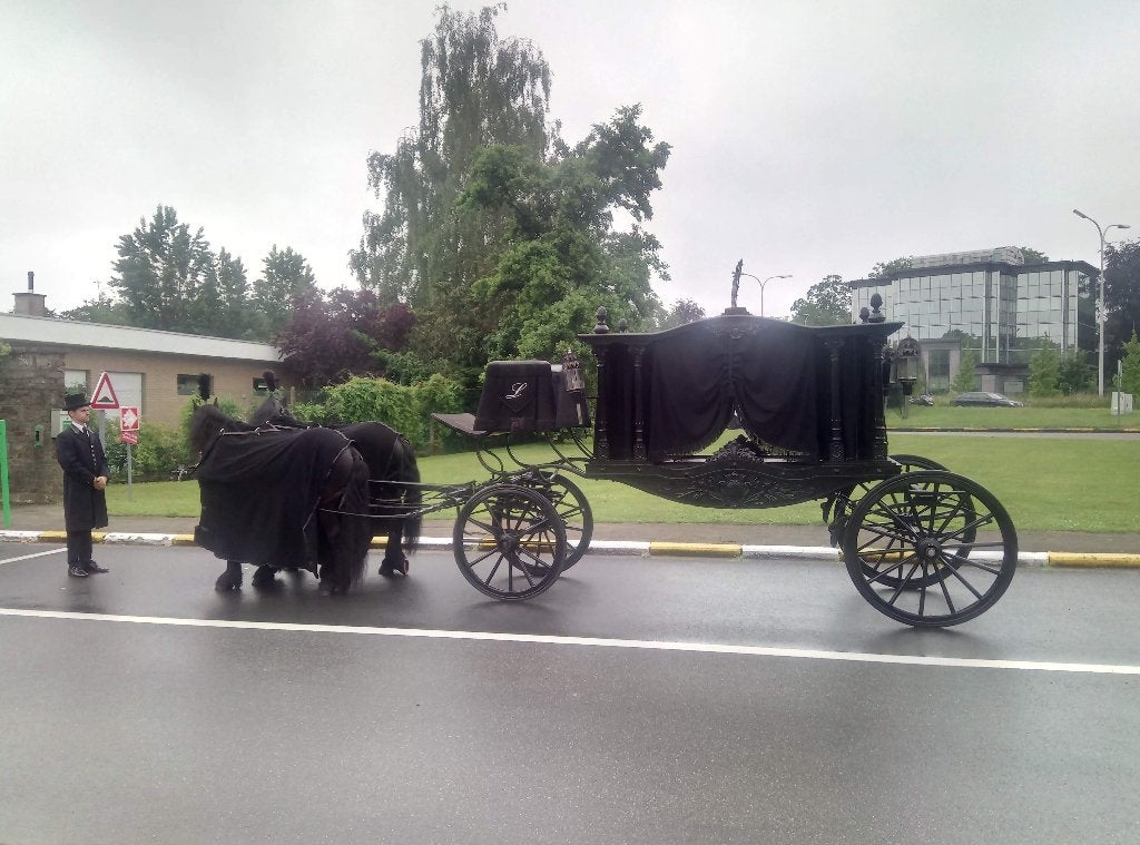 authentieke rouw koets, Gebruikt, Overige typen, Paard