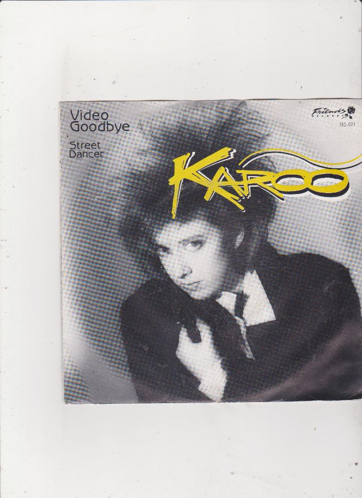 7" Single Karoo - Video Goodbye, Ophalen of Verzenden, Gebruikt, Pop