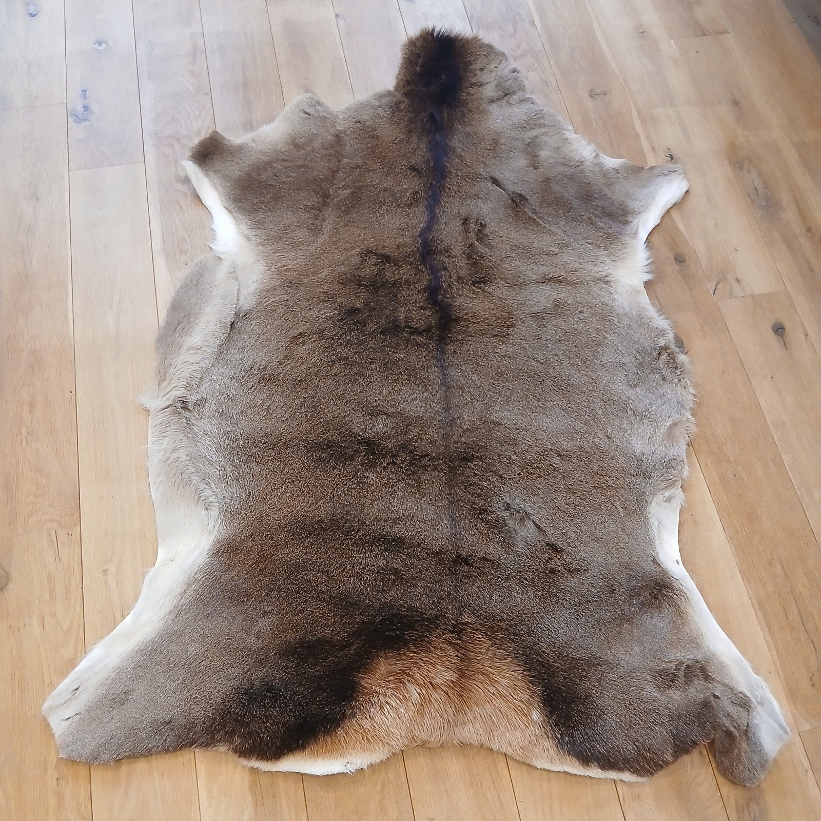 Prachtig hertenvel - Decoratief en uniek, Ophalen of Verzenden, Natuurlijk materiaal, Bruin, Landelijk