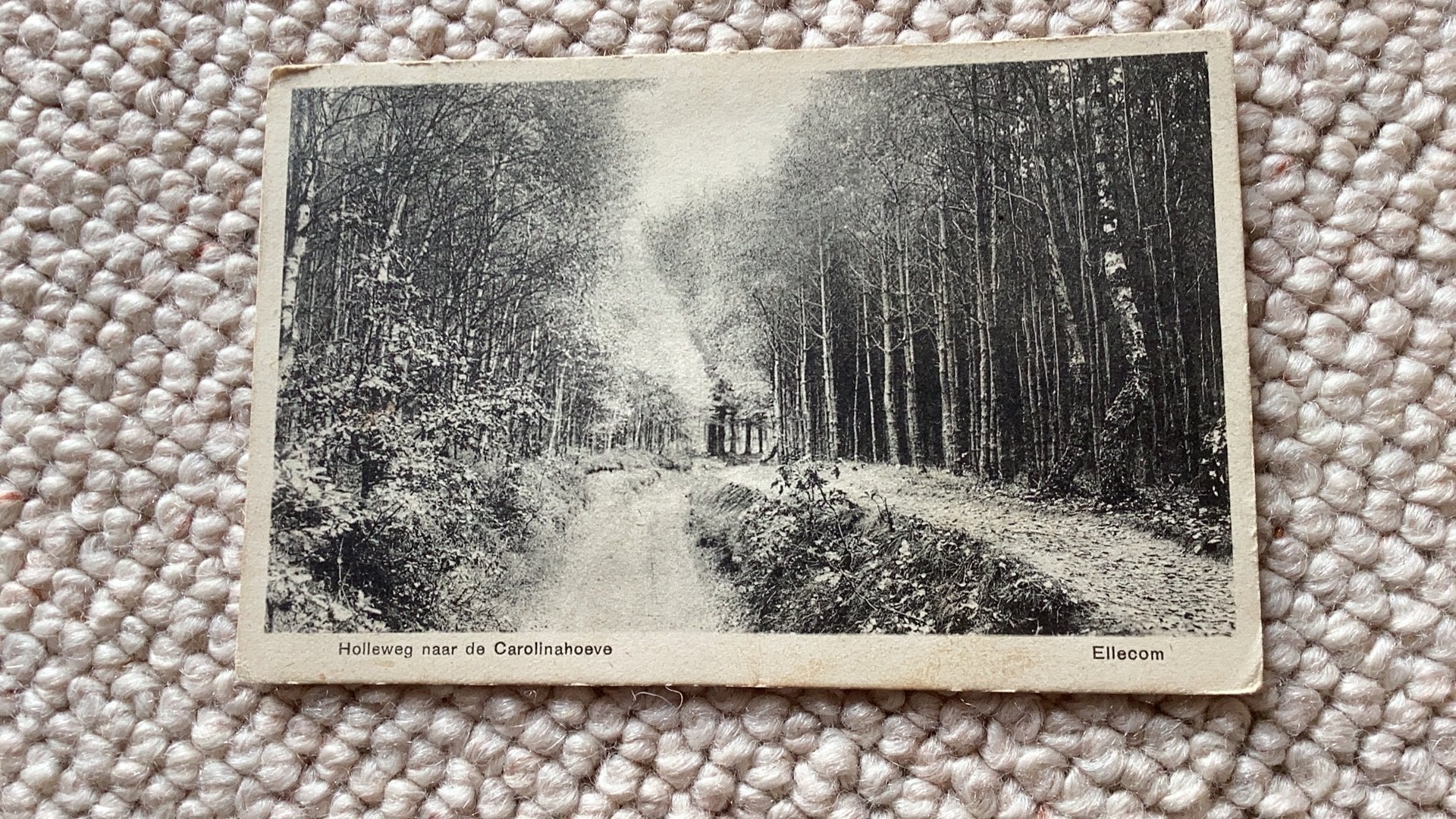 Ansichtkaart Ellecom Holleweg naar Carolinehoeve jaren ‘30, Ophalen of Verzenden, 1920 tot 1940, Gelopen, Gelderland