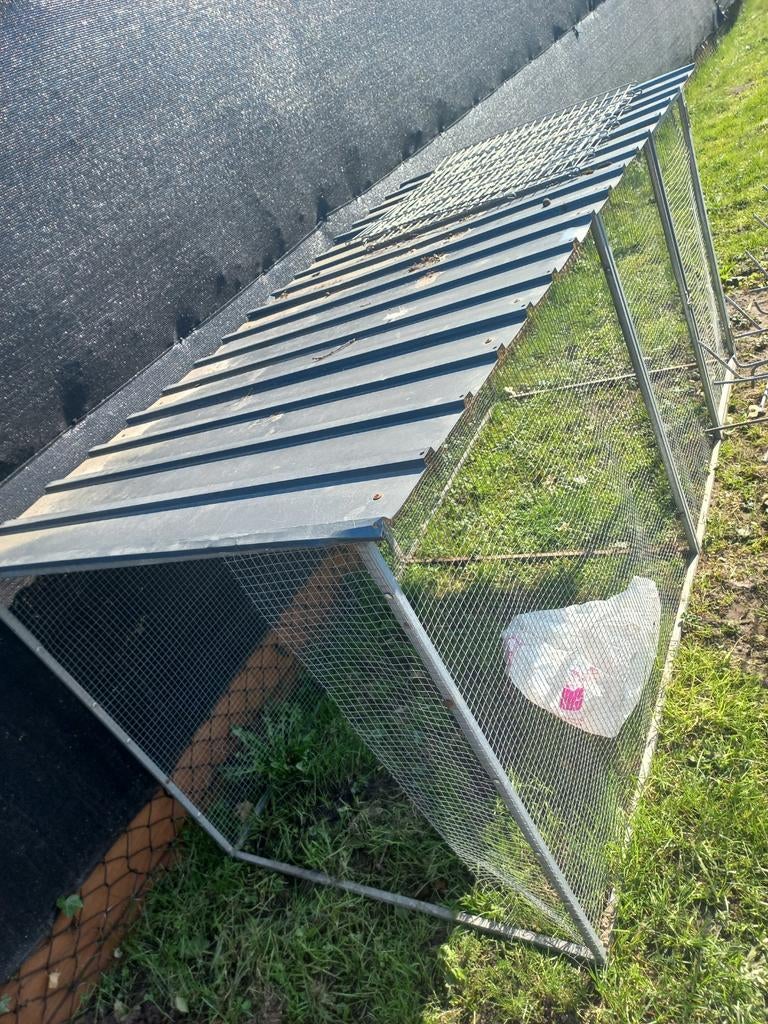 Dierenren puppy kippen kuikens konijnen met deur, Ophalen, Gebruikt