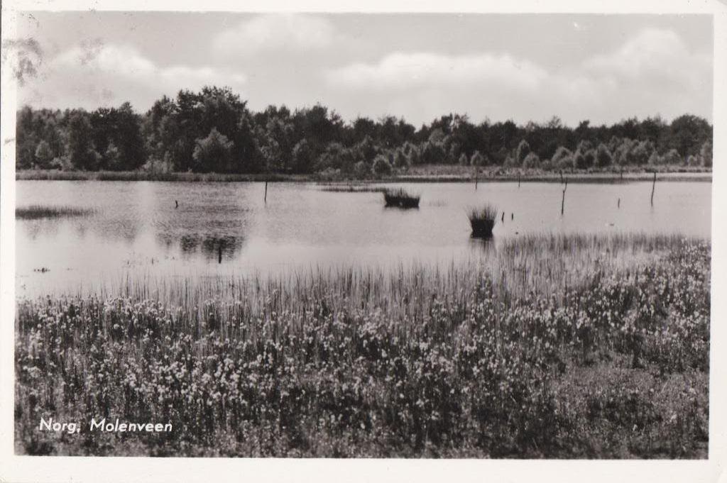 norg  3 x langeloer duinen  oosterduinen enz, Ophalen of Verzenden, Voor 1920, Noord-Brabant