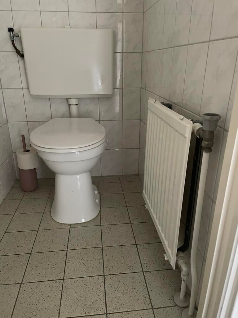 Wegens verbouwing toilet te koop!, Doe-het-zelf en Verbouw, Sanitair, Gebruikt, Toilet, Ophalen
