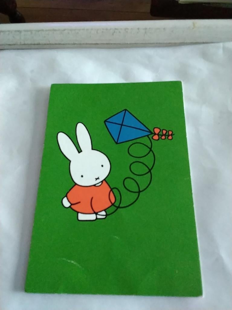 DICK. BRUNA  1981. NIJNTJE. MET VLIEGER, Ophalen of Verzenden, 1980 tot heden