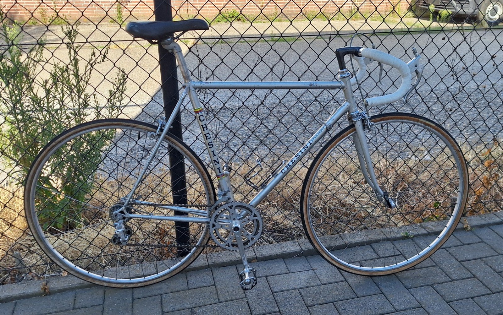 vintage chesini grand sport racefiets origineel campagnolo, 55 tot 59 cm, Ophalen, Velgrem, Jaren '60 of nieuwer