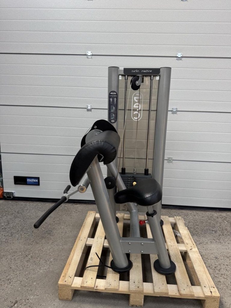 Panatta bicep curl machine / Bizeps/ Bizep, Gebruikt, -, -, Overige typen
