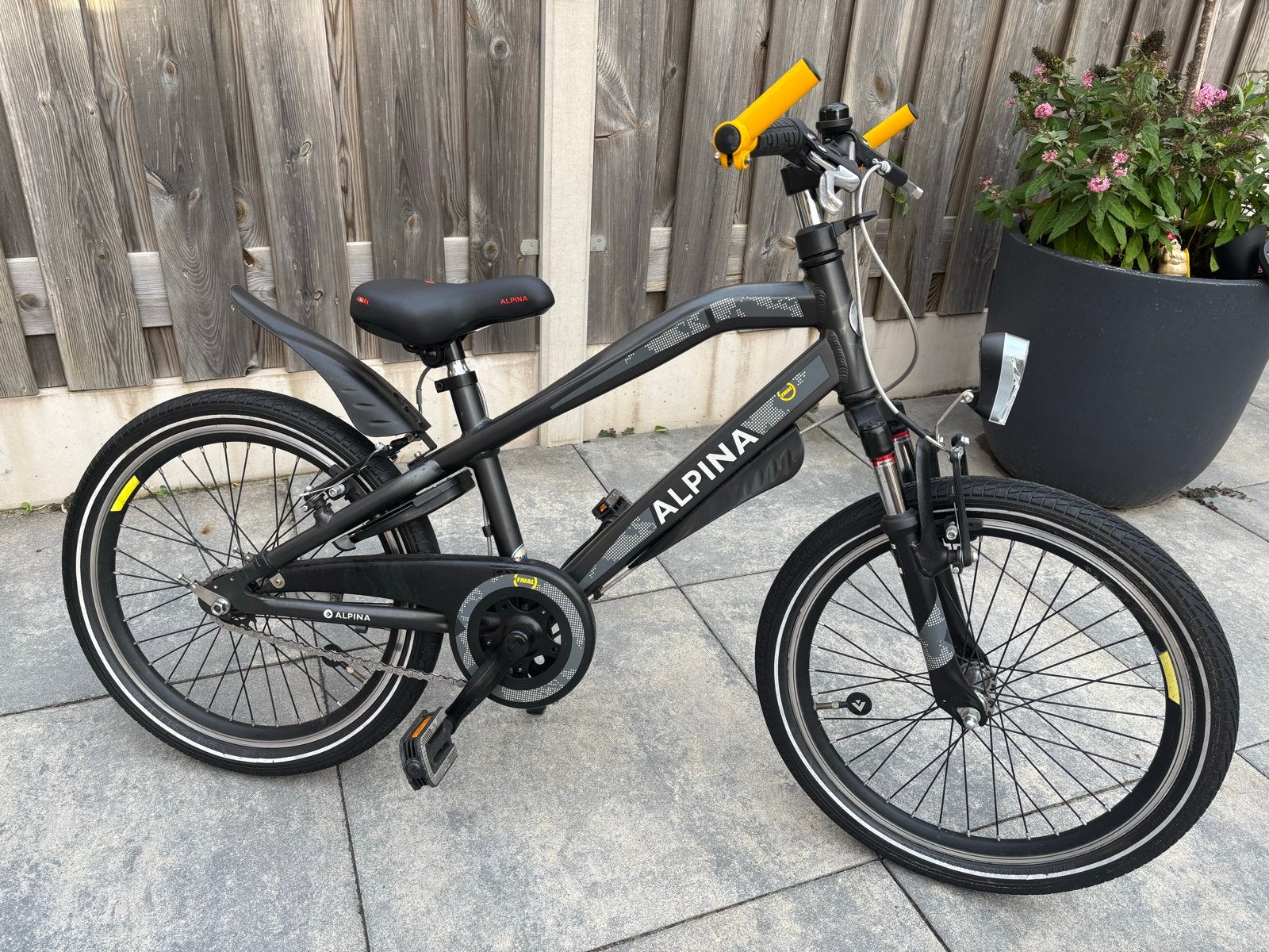 Alpina Trial 20 inch kinderfiets, Ophalen, Gebruikt, Velgrem, 20 inch of meer