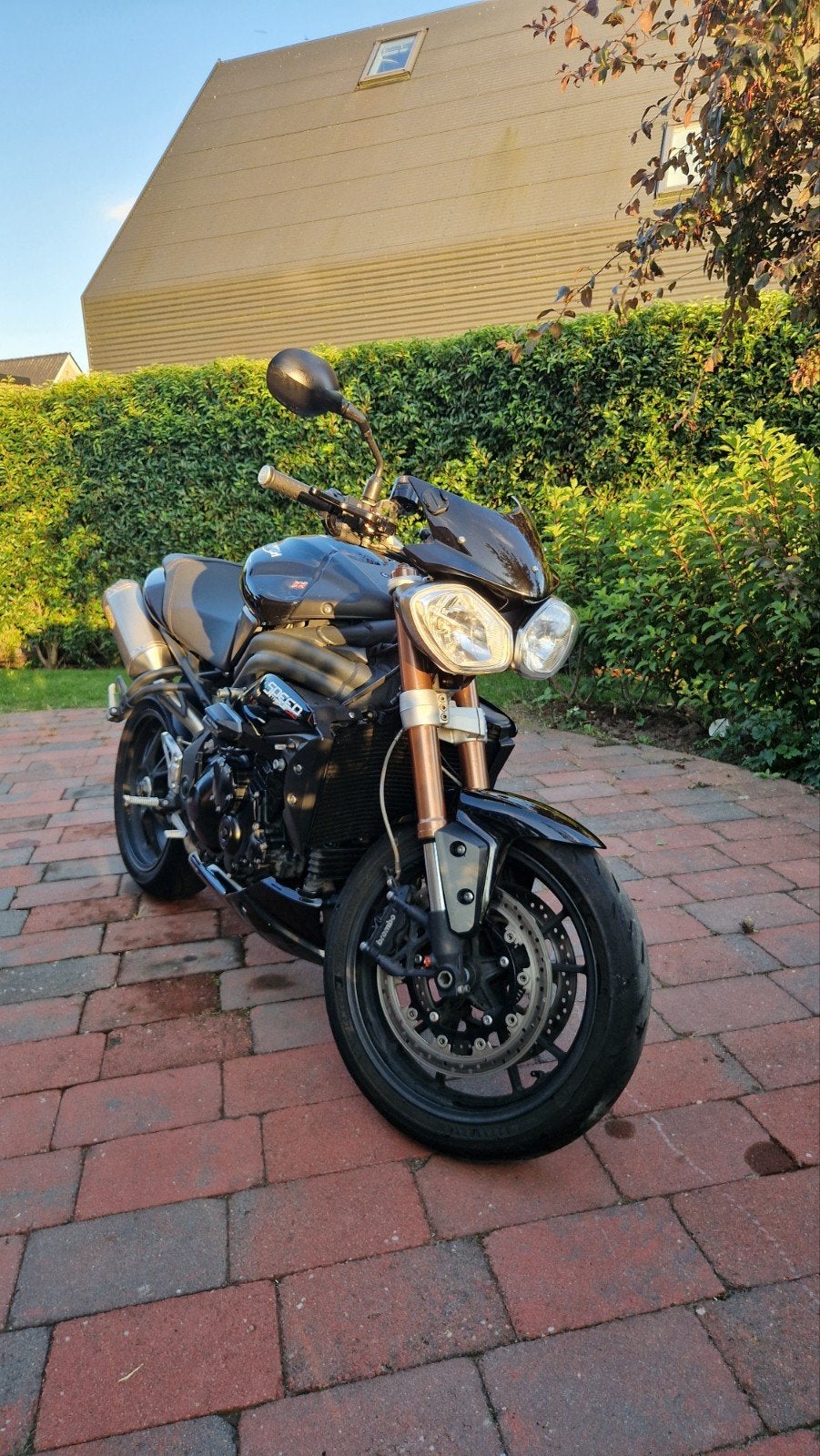 Triumph Speed Triple 1050 Arrow, Occasion, Motorrijbewijs A, 3 cilinders, Particulier