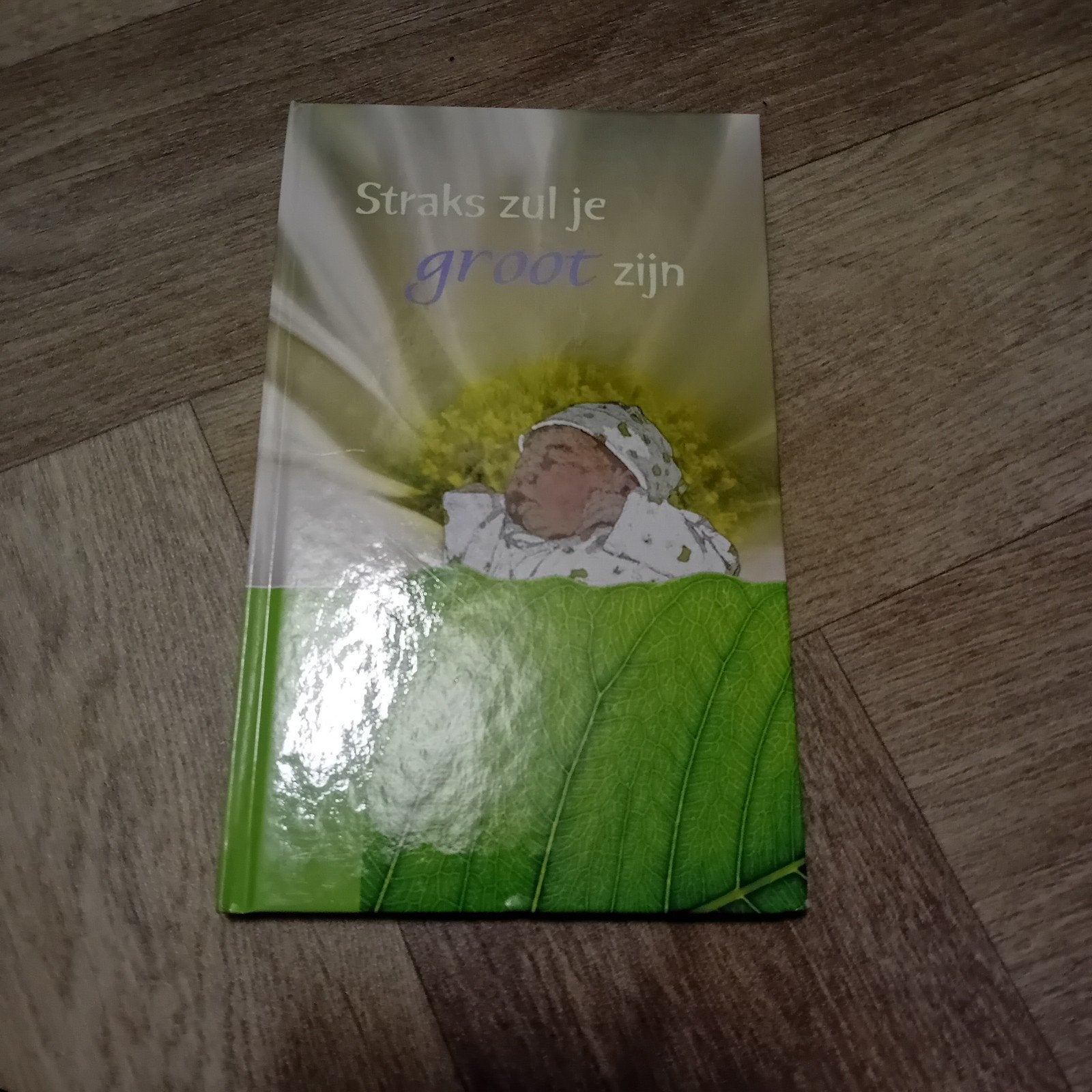 Straks zul je groot zijn - Gedichtenbundel geboorte/doop, Boeken, Ophalen of Verzenden, Gelezen, L.W. Brinkman-Oosterman e.a.