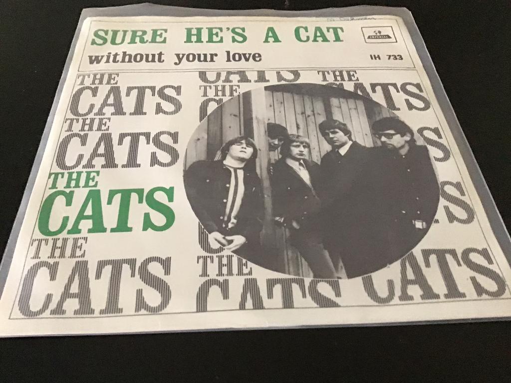 The Cats - Sure He's a Cat / Without Your Love Vinyl Single, Cd's en Dvd's, Vinyl Singles, Ophalen of Verzenden, Zo goed als nieuw
