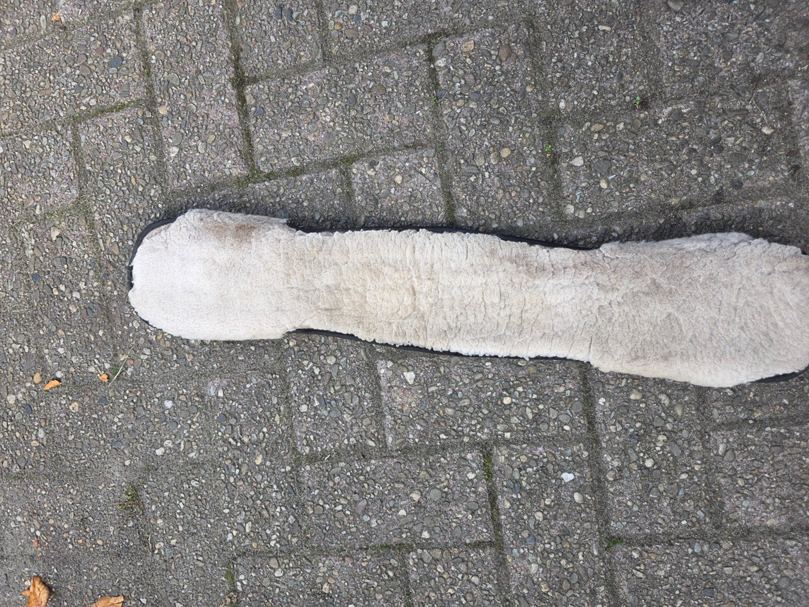 singelbontje, Gebruikt, Ophalen of Verzenden, Singel, Full