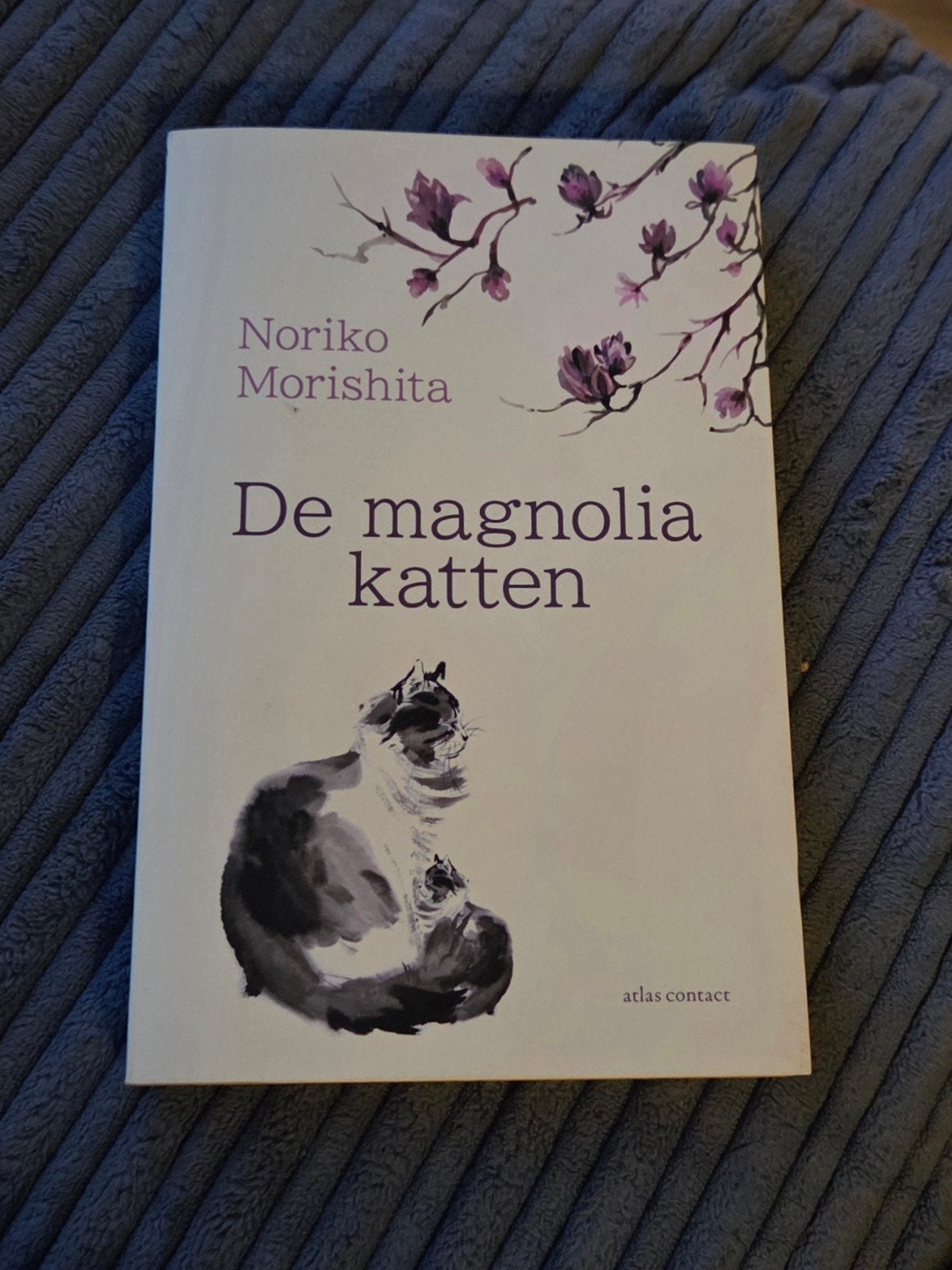 Noriko Morishita - De magnoliakatten, Noriko Morishita, Ophalen of Verzenden, Zo goed als nieuw, Katten