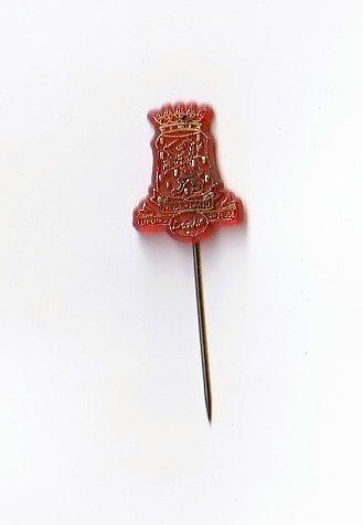kunststof speld Drinkse limonade gazeuse, Ophalen of Verzenden, Overige onderwerpen, Speldje of Pin