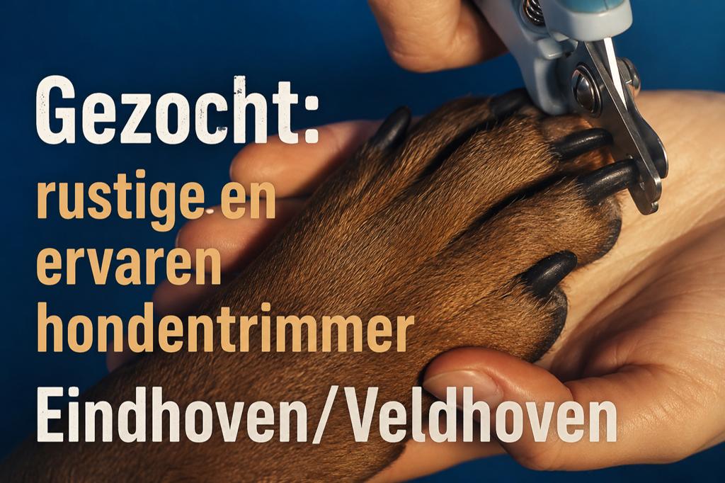 Gezocht: rustige en ervaren hondentrimmer Eindhoven/Veldhove, Ophalen