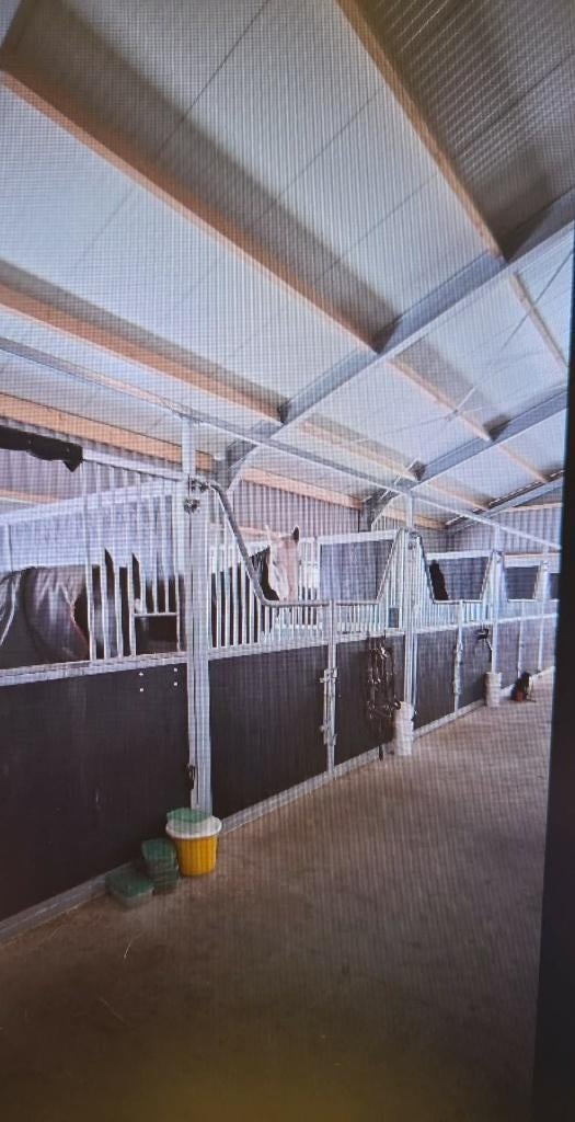 Stalling te huur, Dieren en Toebehoren, Stalling en Weidegang, Stalling, 4 paarden of pony's of meer