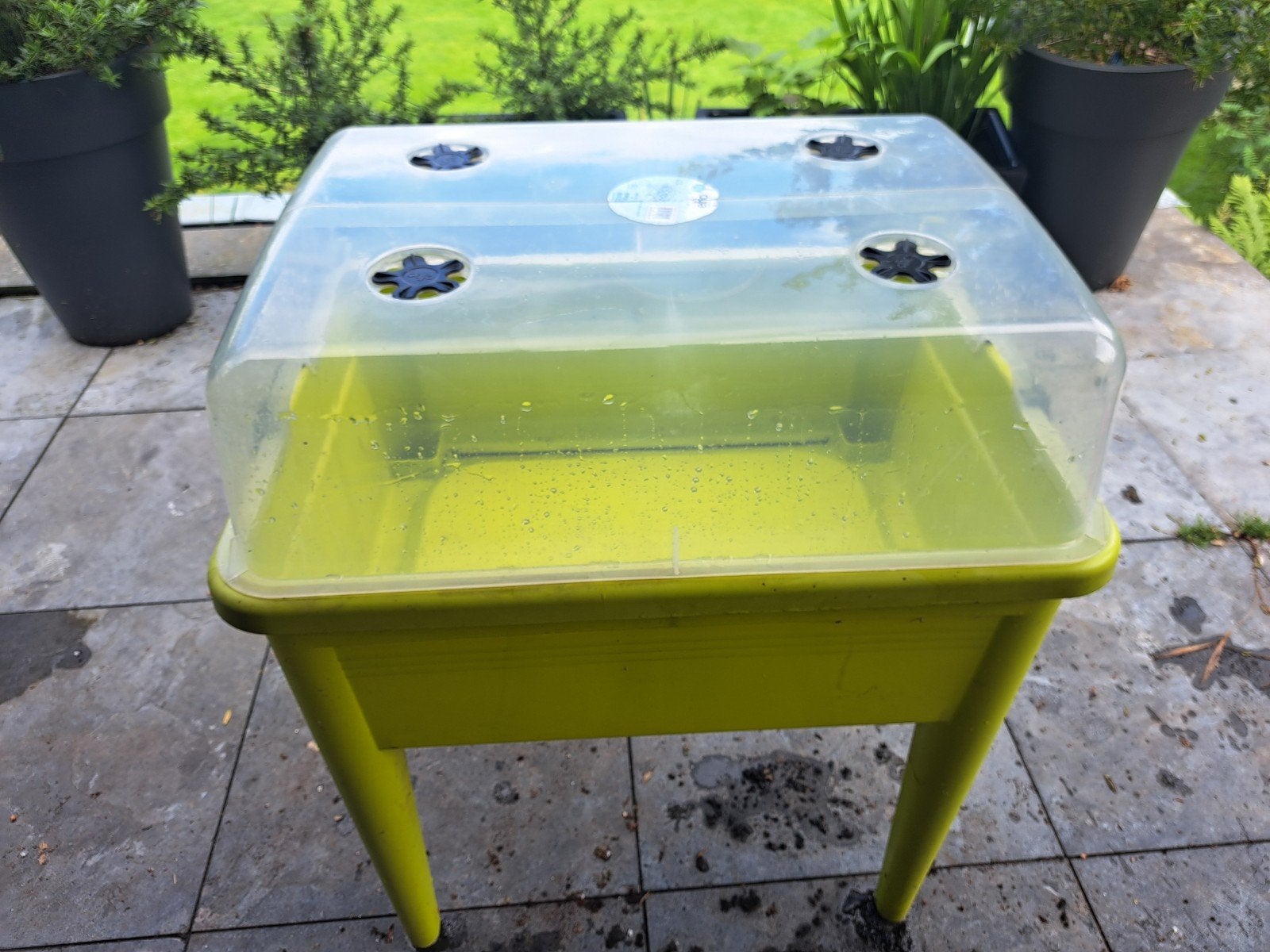 Elho Kweektafel XXL met deksel - Groen kweekbak moestuin, Ophalen, Kunststof, Gebruikt, 60 tot 100 cm