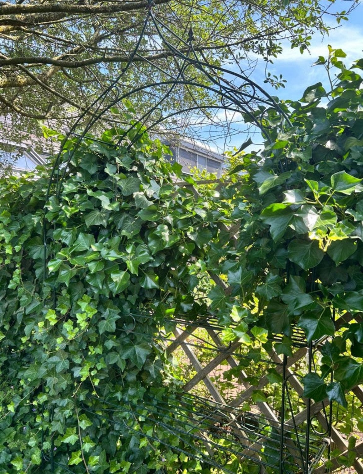 Planten rek, Ophalen, Overige soorten, 100 tot 250 cm